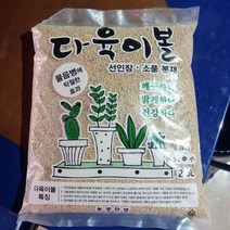 VUF580152동광 다육이볼 2.5L 스투키/선인장 과습방지, 2mm 소립