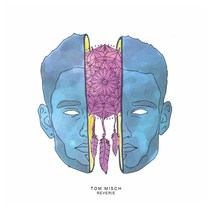 탐 미쉬 Tom Misch LP Reverie 레버리 익스텐디드 플레이 Single 바이늘 바이닐