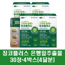 기억력 혈행엔 징코플러스 징코 은행잎추출물 플라보놀배당체 영양제 비타민B 아연 나이아신 판토텐산 노인 부모님 수험생, 4박스