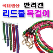 반려견 애견 강아지 개 대형견 리드줄 목줄 줄 끈 목걸이 산책줄, 리드줄일반형