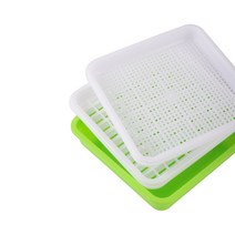 콩나물키우기 숙주 새싹 옹기 밀땅콩콩 발아 수경 액세서리 원예 공급 17x17x15.5cm 재배 새김 상자 4, 한개옵션0