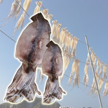 국내산 여수 급냉 갑오징어 450g내외1마리, 단품