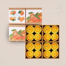 주문즉시수확 프리미엄 제주 감귤 선물세트 6kg(64과 4SET)