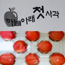 하늘아래 첫 사과 가정용 3kg(부사)상품, 1box 가정용 3kg 부사 상품
