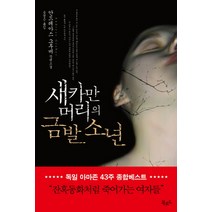 새카만 머리의 금발 소년:안드레아스 그루버 장편소설, 북로드