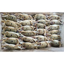 [미쓰리푸드마켓]냉동 삼점게 80/100 3kg 6kg 숫게, 6kg(64~68미내외), 1개