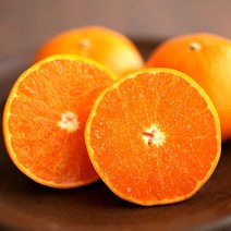 제주 천혜향 한라봉 서귀포 효돈 프리미엄 고당도 선물세트 가정용, 한라봉 가정용 (대과) 5kg