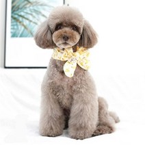 트로피칼 머플러 - 라지, 수박(레드), 수박(레드)