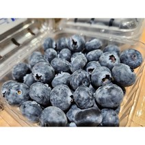 blueberry 프리미엄 생블루베리 블루베리생과 500g 1kg 1.5kg, 1개