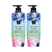 엘라스틴 퍼퓸 퓨어브리즈 샴푸, 2개, 600ml