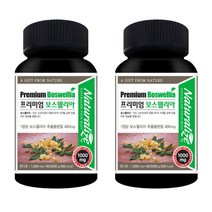프리미엄 보스웰리아1000mg 자연유래 콘드로이친 2box 관절에좋은 허리에 좋은 음식 식품 다리아플때