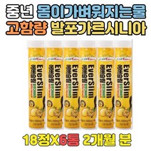 하체 살빨리빼는법 몸이가벼워지는물 가르시니아 아랫배 상체 팔뚝살 허벅지안쪽살 뱃살 빼기 도움 가르니시아 캄보지아 HCA 비타민B 탄수화물흡수억제제 자기전 마시는 다이어트 물