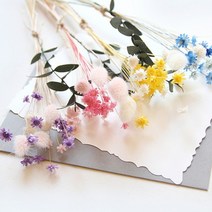 [바보사랑] 스타플라워와 허니테일미니다발, 꽃색상선택:블루