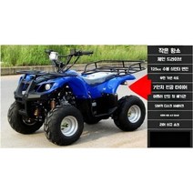 ATV 4륜 오프로드 황소 마운틴 4륜구동 오토바이 4륜바이크, 125cc 리틀 불 패키지 II