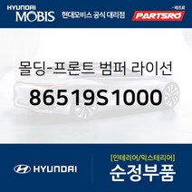 순정 자동차 전면 번호판 플레이트 (86519S1000) 싼타페 현대모비스 부품 공식대리점 온라인쇼핑몰 파츠로