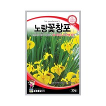 모칸도 (무배)세계 노랑꽃창포 꽃씨 (30립)