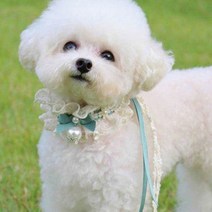 팝앤퍼피 셔링레이스케이프, L, 민트