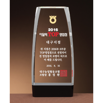크리스탈 상패 GM0595 추대패 표창패 감사패 공로패, FREE FREE