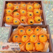 농장직송 제주 서귀포 달콤한 고당도 한라봉 레드향 2kg 3kg 5kg 가정용 과일 선물세트 친환경맘, 한라봉2kg 가정용