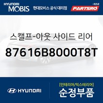 싼타페DM 더프라임 순정 사이드미러 커버(백미러 스캘프) 좌측(플래티늄실버) (87616B8000T8T) 싼타페 더 프라임 현