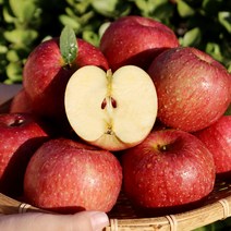 충주 사과 후지 3kg(11-14과), 후지사과 3kg/11-14과