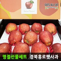 이츠올릿 명절 추석 선물 세트 청송 햇 홍로 사과 3kg 프리미엄 중대(9-10과) 경북 안동 문경 장수, 상세페이지 참조, 상세페이지 참조, 상세페이지 참조
