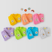 (베베르망) 활짝해바라기세트[세트BDGY89]