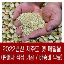[다온농산] 2022년산 국산 제주도 햇 메밀쌀(깐메밀) -1Kg- 판매자 직접가공판매 저렴