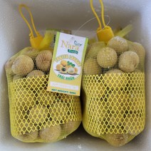 (2개 이상부터 구매) 베트남 냉동 용안 / Nhan Dong Lanh Viet Nam 500g, 4개