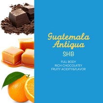 퍼플빈커피 싱글오리진 과테말라 안티구아 SHB 고소한원두 중남미 원두 커피, 500g, 모카포트