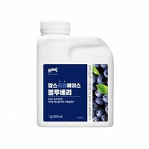 흥국 맘스 블루베리 농축액 에이드 베이스 1kg /농축액 모음, 흥국 블루베리 베이스 1kg 1개