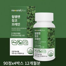 플러스 혈행 앤 징코브레인 90정 플라보놀배당체 활력 기억력 혈행 개선 증진 건강 관리, 90정x4박스 12개월분(할인가)