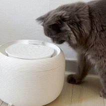 페키움 풀패키지 고양이 강아지 정수기 자동 급식기 음수대 저소음, 6.쉿! 정수기 올인원 세트(매트:야옹이)