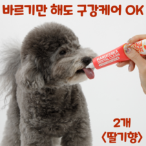 펫생각 하루치카 덴탈클린 강아지 치석제거 발라만 주는 치약 3종 천연 효소 딸기향 메론향, 2개, 딸기