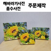 (은자매잡화점) 특별한선물 추천 해바라기사진 액자 탁상액자 풍수사진 풍수인테리어 인테리어액자 주문제작