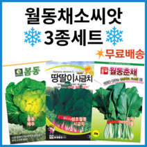 주주씨앗 월동채소씨앗 3종세트 노지월동씨앗 종자 봄동 월동시금치 월동춘채 겨울초 포항초 섬초 동초, 1개