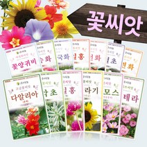 꽃 야생화 고급화훼종자 희귀 씨앗모음전 - 한련화 수레국화 구절초 매발톱 다알리아 코스모스 메리골드 백일홍 꽃양귀비, CB21=다알리아 황색단층꽃100립!