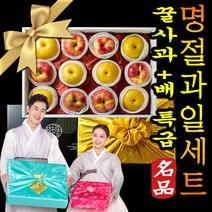 명절 추석 설 선물세트 사과배 대과 문경 충주 햇사과 황금배 나주배 혼합과일 선물세트 5kg 7kg 백화점 홈플 이마트 추석 설날선물 명품 고급 보자기 포장, 1.사과배6+6선물세트1호(실속형)5kg