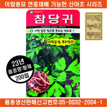 23년산 참당귀 씨앗 200립- 국내생산종자 뿌리당귀, 1개