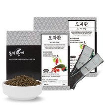 동의한재 오자환 스틱 3g 30포 x 2박스 남성활력 12종 재료함유, 단품