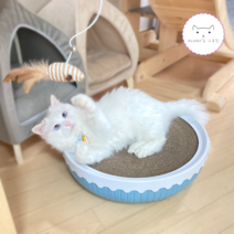 고양이 원형 스크래쳐 빅소파 골판지 벅벅 초대형 캣모나이트 냥모나이트 마약박스 종이방석, 옐로우 세트