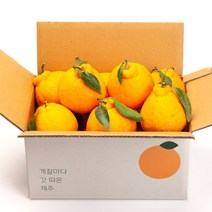 깨비농원 제주 한라봉 2.5kg, 한라봉 2.5kg 중과(9-12과)