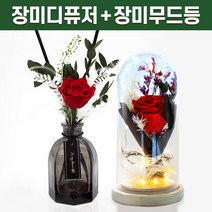 스페셜 프리저브드 레드 장미 디퓨저 선물세트 + 장미 무드등 로즈데이 선물 남자친구 여자친구 남사친 여사친 선물 실내 디퓨저 실내 방향제 디퓨저, 300ml, 코튼블라썸