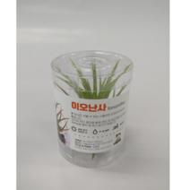 엉클팜(사은품) 집들이선물용 이오난사 7~10cm 틸란드시아