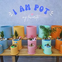 다육이 힙팟 칼라 원형 도자기 아프리카식물 화분, 핑크