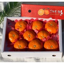 한입앙 고당도 제주 레드향 명절 선물용 산지직송 3kg 5kg, 레드향 3kg(선물용), 3kg : 빨간색(부직포 포장), 1개
