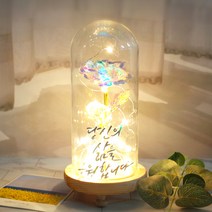 발트728 문구제작 홀로그램장미 기념일 선물 LED유리돔 글라스돔, 작은아이/홀로그램장미/별도문구제작(폰트3)