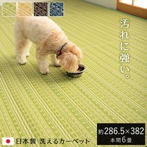 P5 배 1115 러그 씻을 수있는 잠 6 다다미 카펫 방 진드기 [ Canon ] 혼마 6 다다미 약 286.5 × 382cm 상층 다다미 커버 애완 동물 다이닝 러그 방 곰팡이 제균 스프레이 대응 얼룩 어려운 일본식 폴리 프로필렌 레저 시트