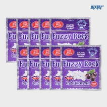 퍼지락 자일리톨 무설탕 캔디 블랙커런트 40g 10개 세트구성