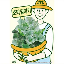 호박씨앗종자 호박잎따기 (70립), 1개